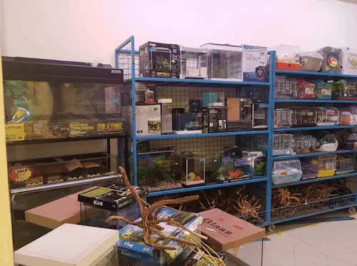 K & K Aquarium & Bird Centre - Aquarium Shop Singapore