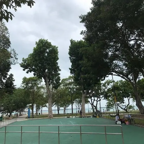 Learn Inline Skating - What To Do In East Coast Park Singapore