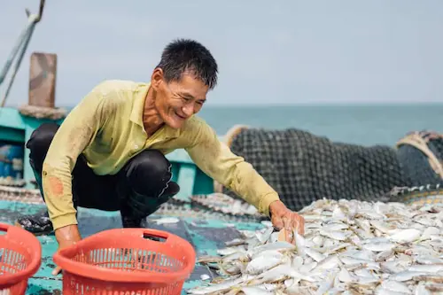 My Fishman - Seafood Delivery Malaysia