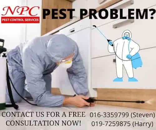 NPC Pest Control Services - Pest Control KL Selangor