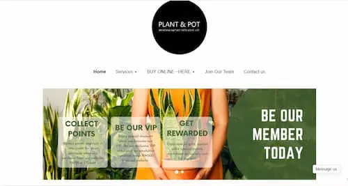 Plant & Pot Studio - Plant Nursery KL Selangor