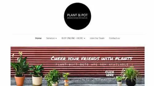 Plant & Pot Studio - Plant Shops KL Selangor