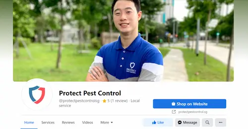 Protest Pest Control - Cockroach Control Singapore