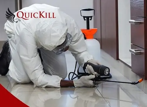 Quickill Pest Control Sdn Bhd - Pest Control KL Selangor 