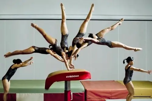 Raffles Gymnastic Academy -  Gymnastics Singapore