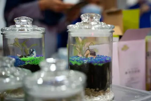 Terrarium Workshop - Family Bonding Singapore (Credit: FunEmpire)