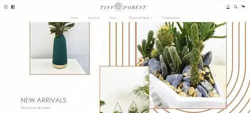 Tiny Forest - Plant Shops KL Selangor