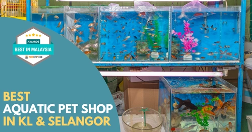 Best Aquatic Pet Shop KL Selangor