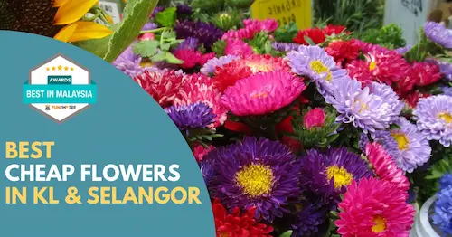 Best Cheap Flowers KL Selangor