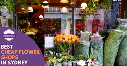 Best Cheap Flowers Sydney