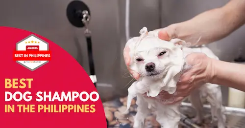 Best Dog Shampoo Philippines