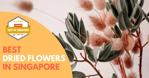  Best Dried Flowers Singapore 