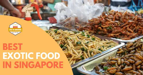 Best Exotic Food Singapore