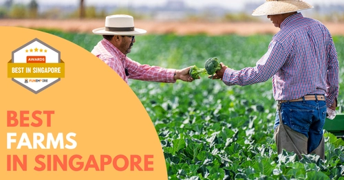 Best Farm Singapore