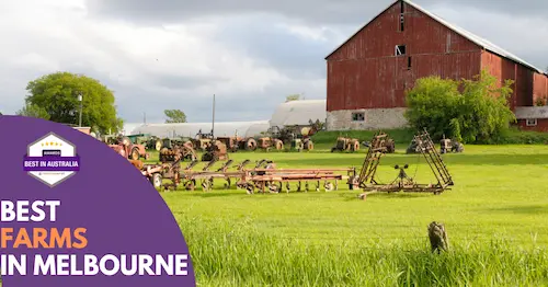 Best Farms Melbourne