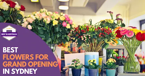 Best Flowers For Grand Opening Sydney