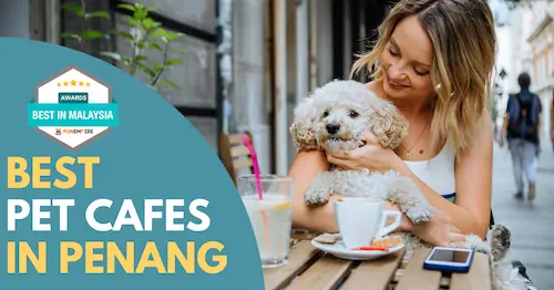 Best Pet Cafe Penang