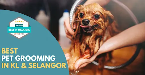 Best Pet Grooming KL Selangor