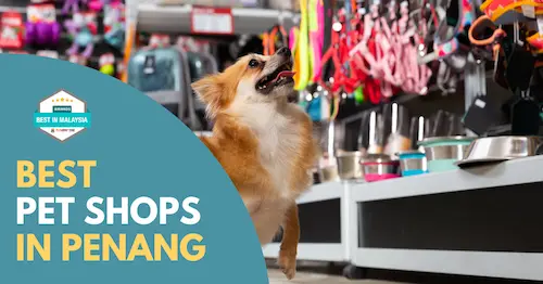 Best Pet Shops Penang