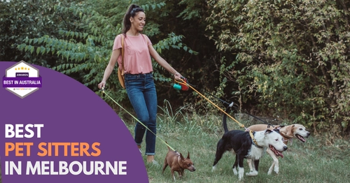 Best Pet Sitter Melbourne