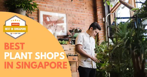 Best Plant Shop Singapore