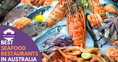 Best Seafood Restaurants Australia