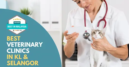 Best Veterinary Clinic KL Selangor