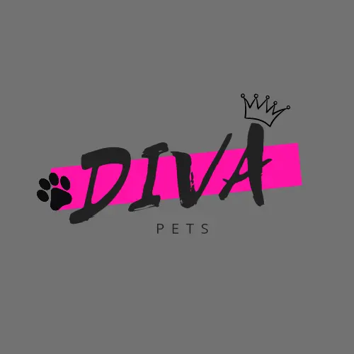 Diva Pets   - Cat Grooming KL Selangor 