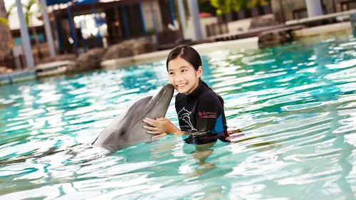 Dolphin Island - Activities in Singapore