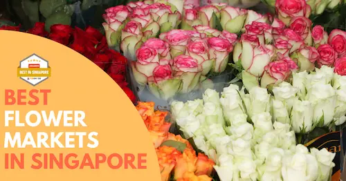 Flower Market Singapore