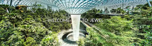 Jewel Changi Airport - Activities in Singapore