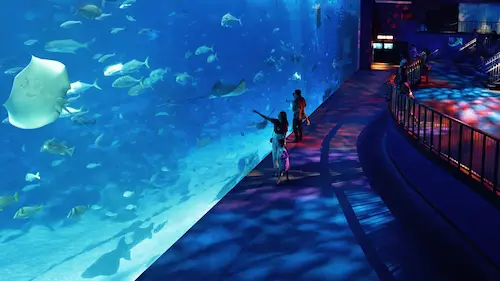 SEA Aquarium - Activities in Singapore