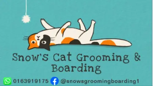 Snow’s Cat Grooming & Boarding  - Cat Grooming KL Selangor