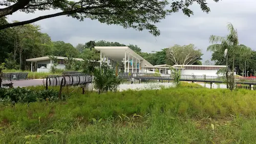 Sungei Buloh Wetland Nature Reserve - Activities in Singapore